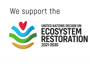 UN DECADE LOGO.png