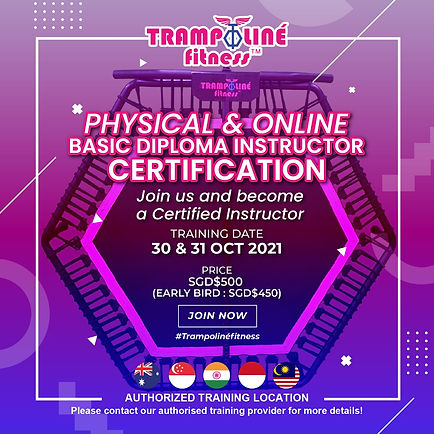 Trampoline Fitness Online Certification.jpeg