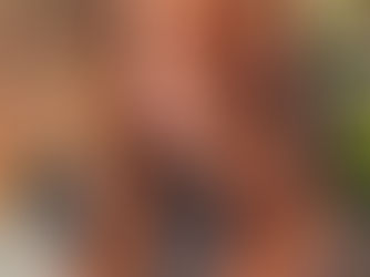 How to Keep Your Colour Looking Fresh Between Appointments