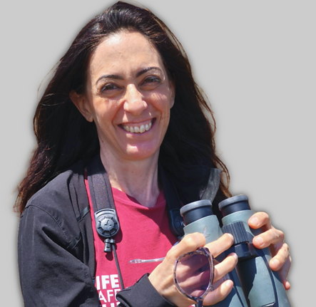 Fiammetta per Faunis (1).png