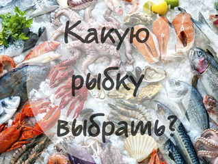 Какую рыбку выбрать?