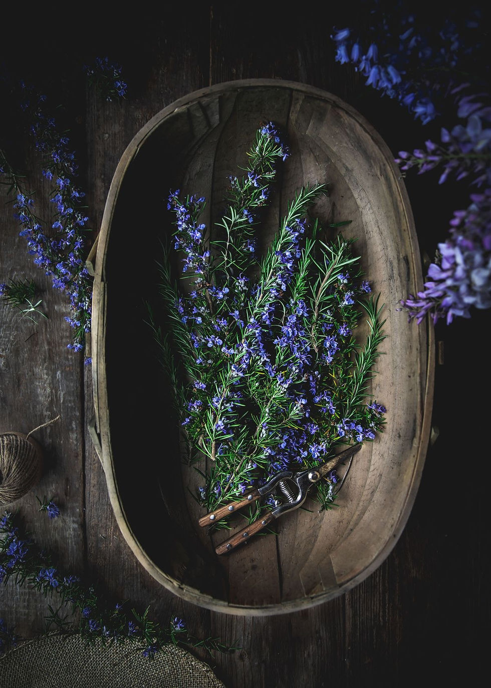 Miniatura: ASIAN PATCHOULI
