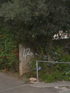 שושנת הכרמל 42