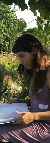 IMG_3049.jpeg