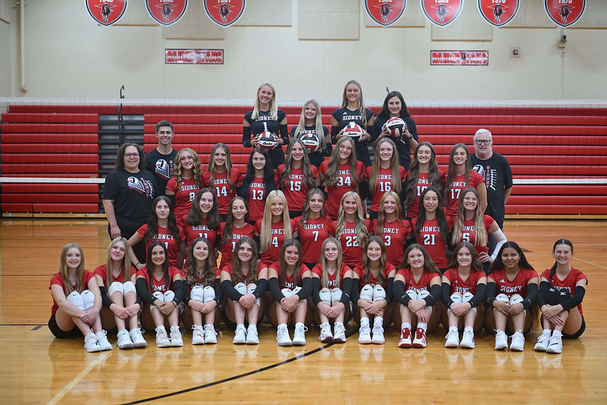 vball.JPG