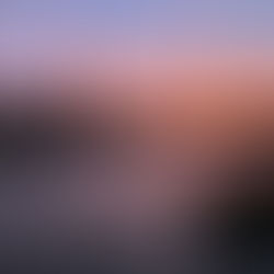 A Certain je ne sais quoi: Our unforgettable Parisian adventure 