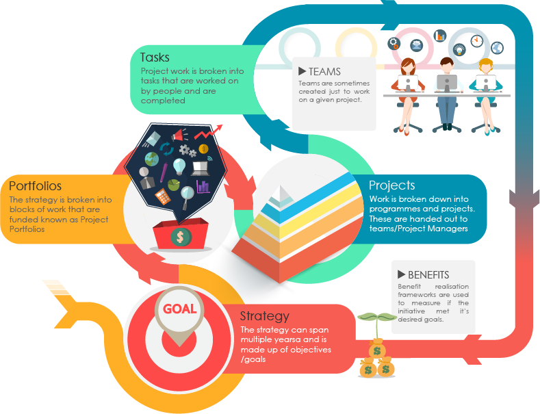 What is Project Portfolio Management?