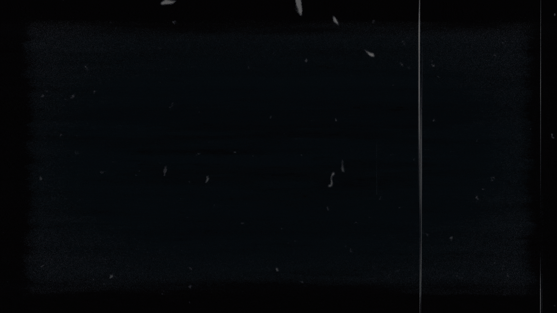 Untitled design (1).gif