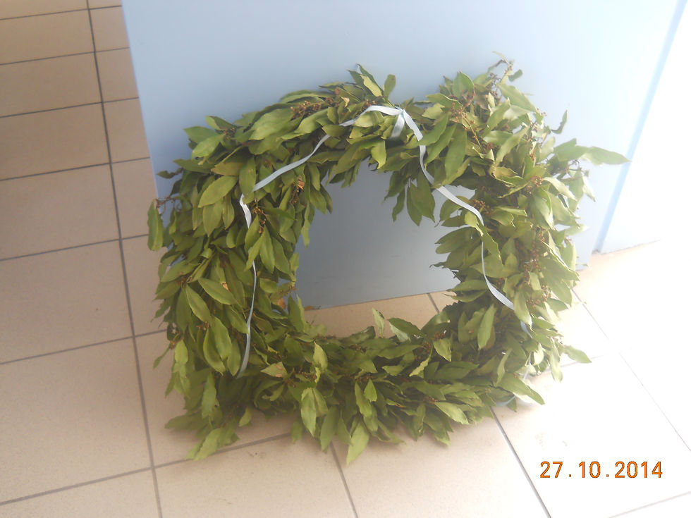 DSCN1181.JPG