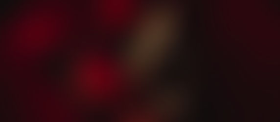 Seng Chun & Shumaine Wedding Day