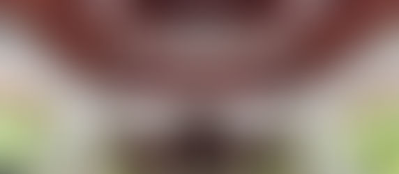 Bryan & Jane Beach Wedding