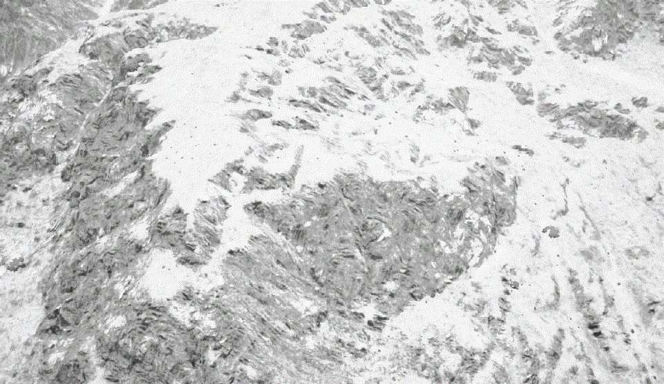 Pixelation.gif