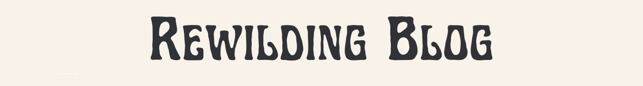 14.png
