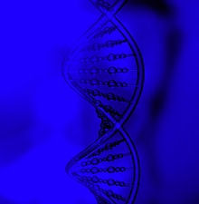 LONGEVITY MOLECULAR