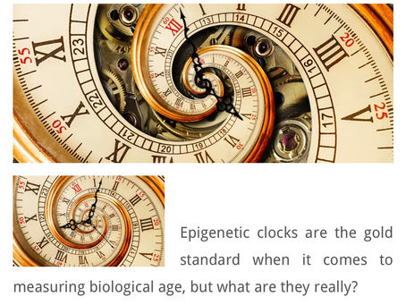 Epigenetic clocks