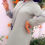Miniature : SUNU-025-SN