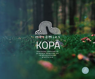 Copy of FB_posts.jpg