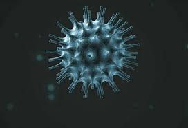 THE CROWNED VIRUS