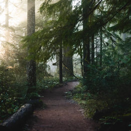 Three Acres of Wonder