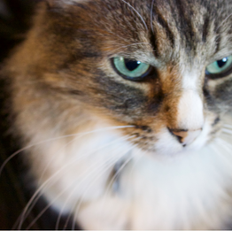 They've Noticed We're Home