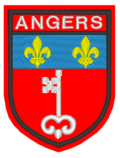 Angers (49)
