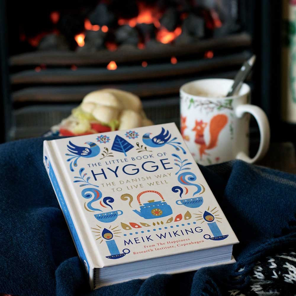 Vaizdo rezultatas pagal užklausą „hygge book“