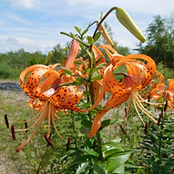 DSCN1916.JPG