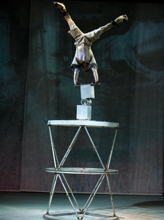 Customized event shows Circus, Brulesque, Samba Dinner Shows