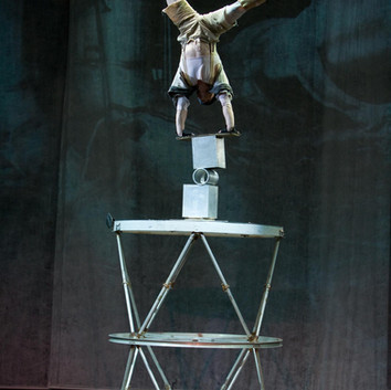 Customized event shows Circus, Brulesque, Samba Dinner Shows