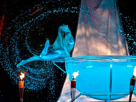 Why choosing the best entertainer for your corporate event is so important?