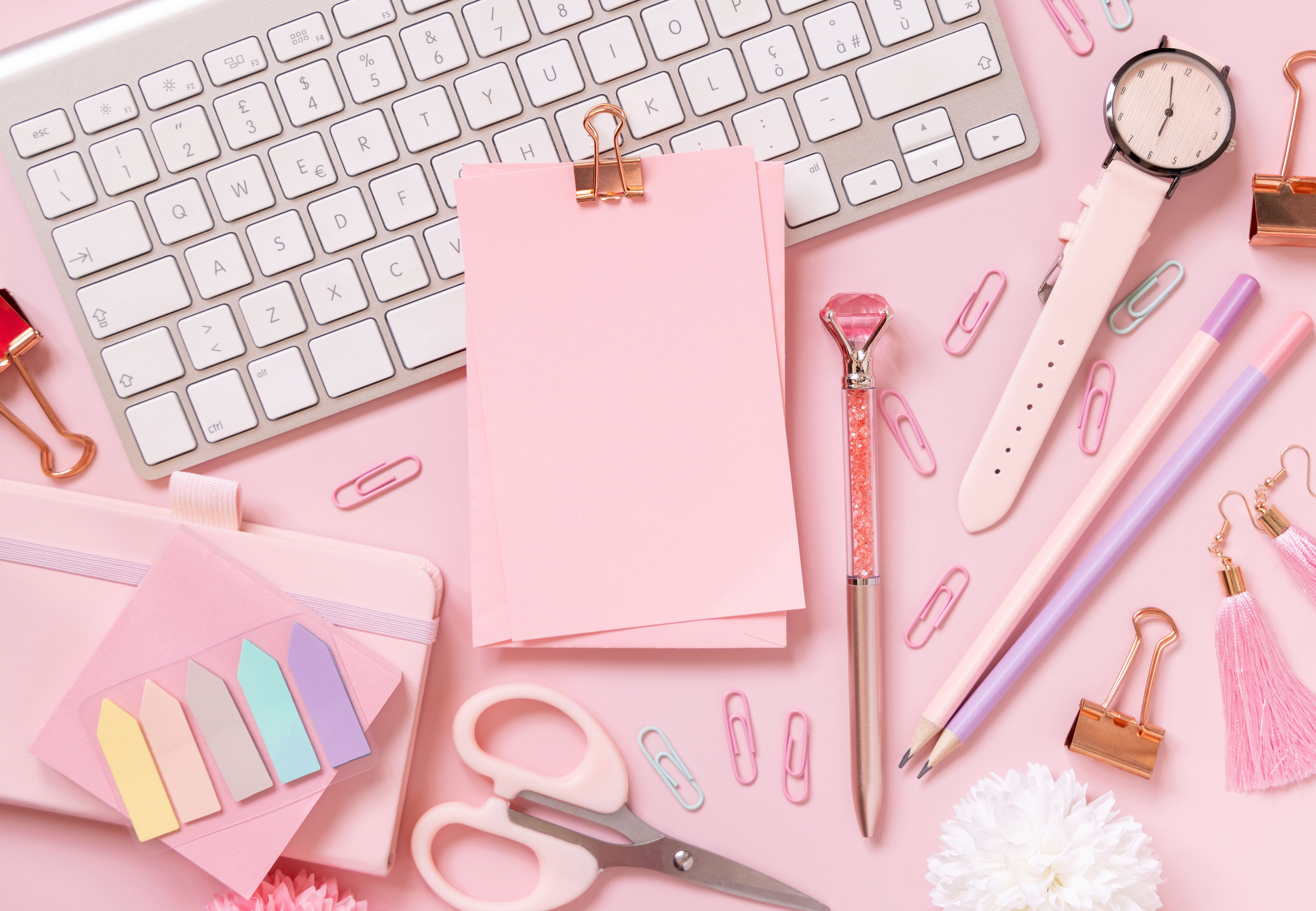 Paper Chaser Membership