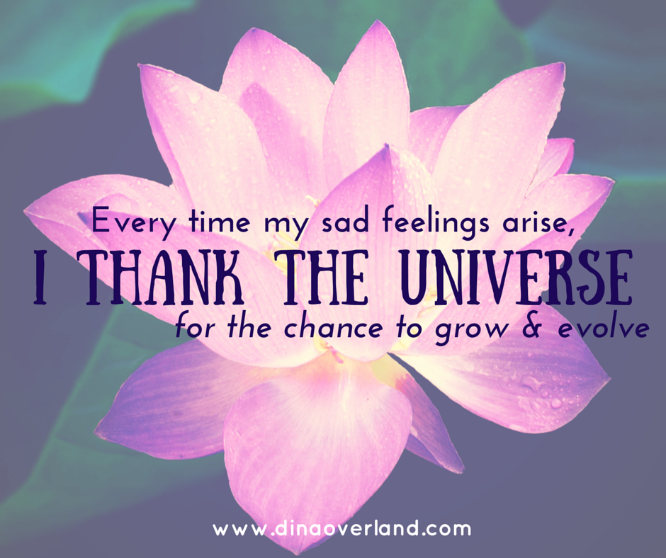 IMG_0024.PNG
