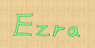 Custom alt text