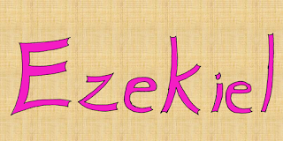 Custom alt text