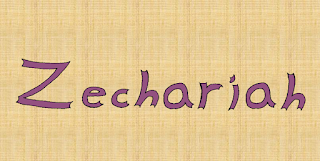 Custom alt text