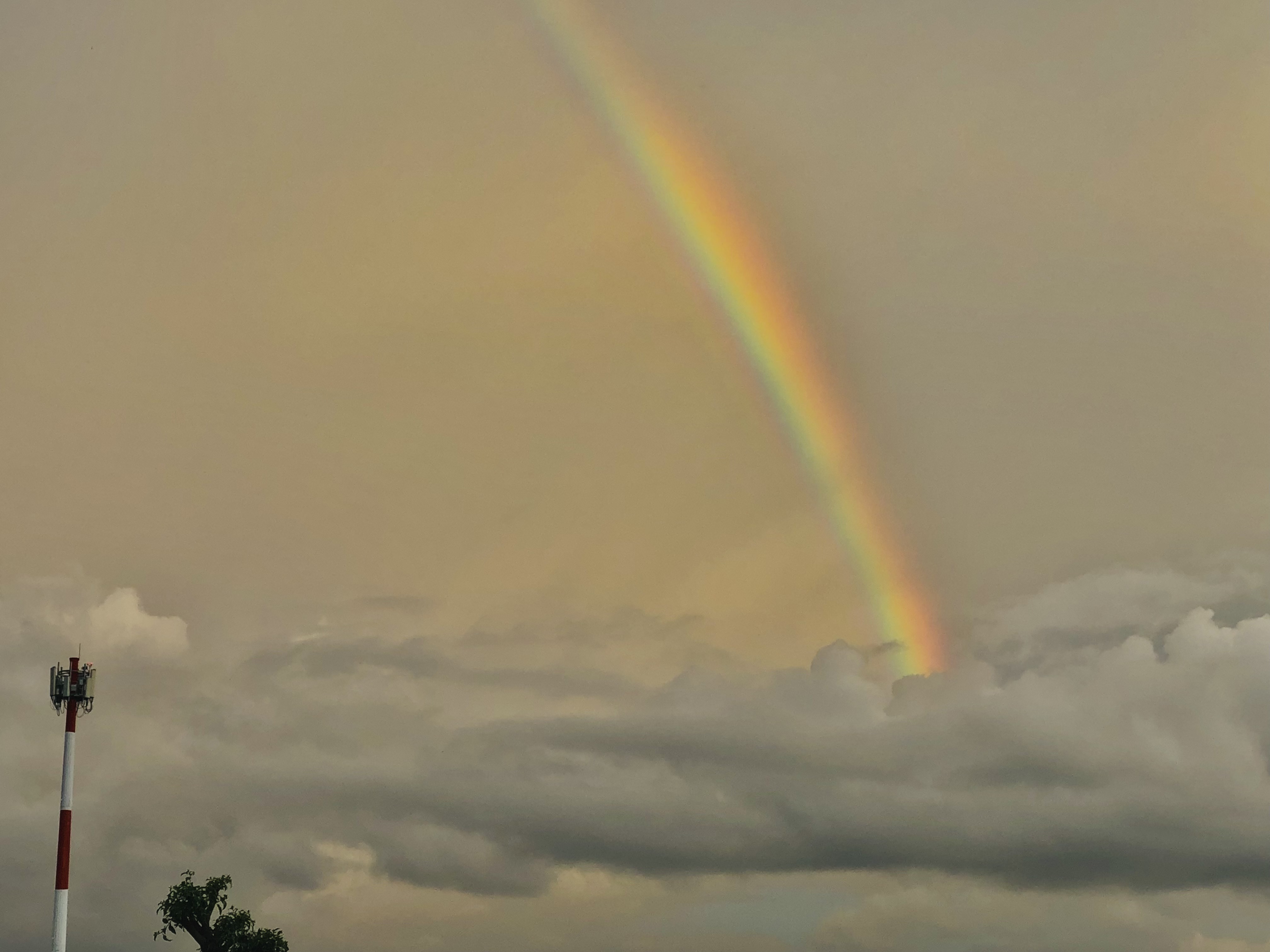 double rainbow