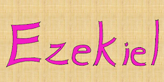 Custom alt text