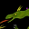 Writer: DragoNate