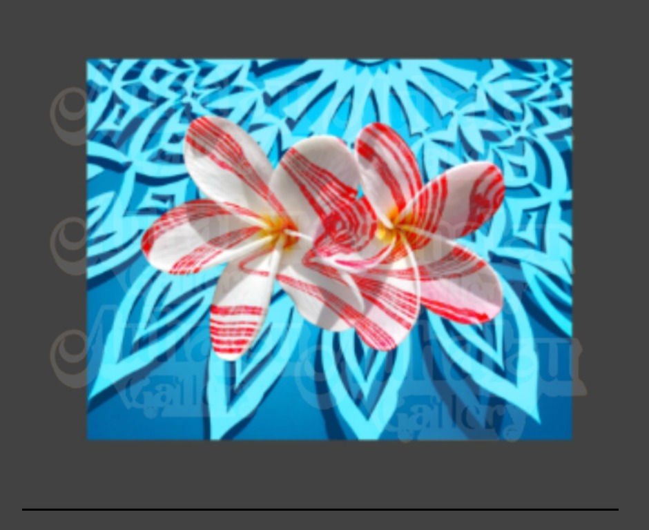 Melia Hāluʻa, 3 variants