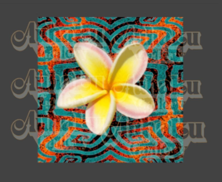 Melia ma ka pāhoeho