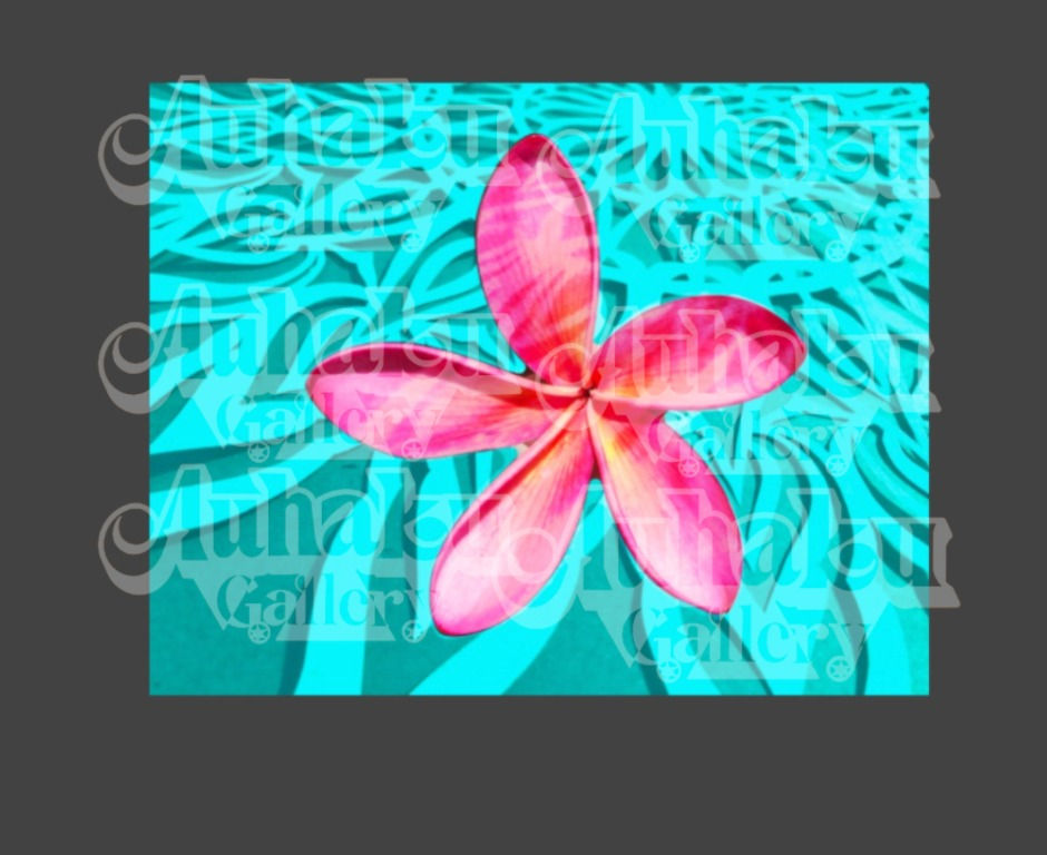 Melia ākala #1, 3 variants