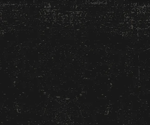 Bulls,-Bands-&-Barrels-300x250.gif