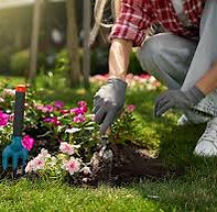 Gartenpflege.jfif