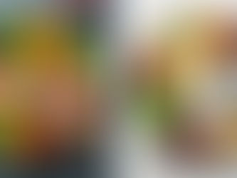 Vegan vs. Vegetarian Diet: Key Differences Explained