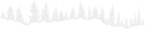 activites-pine-bg.jpg