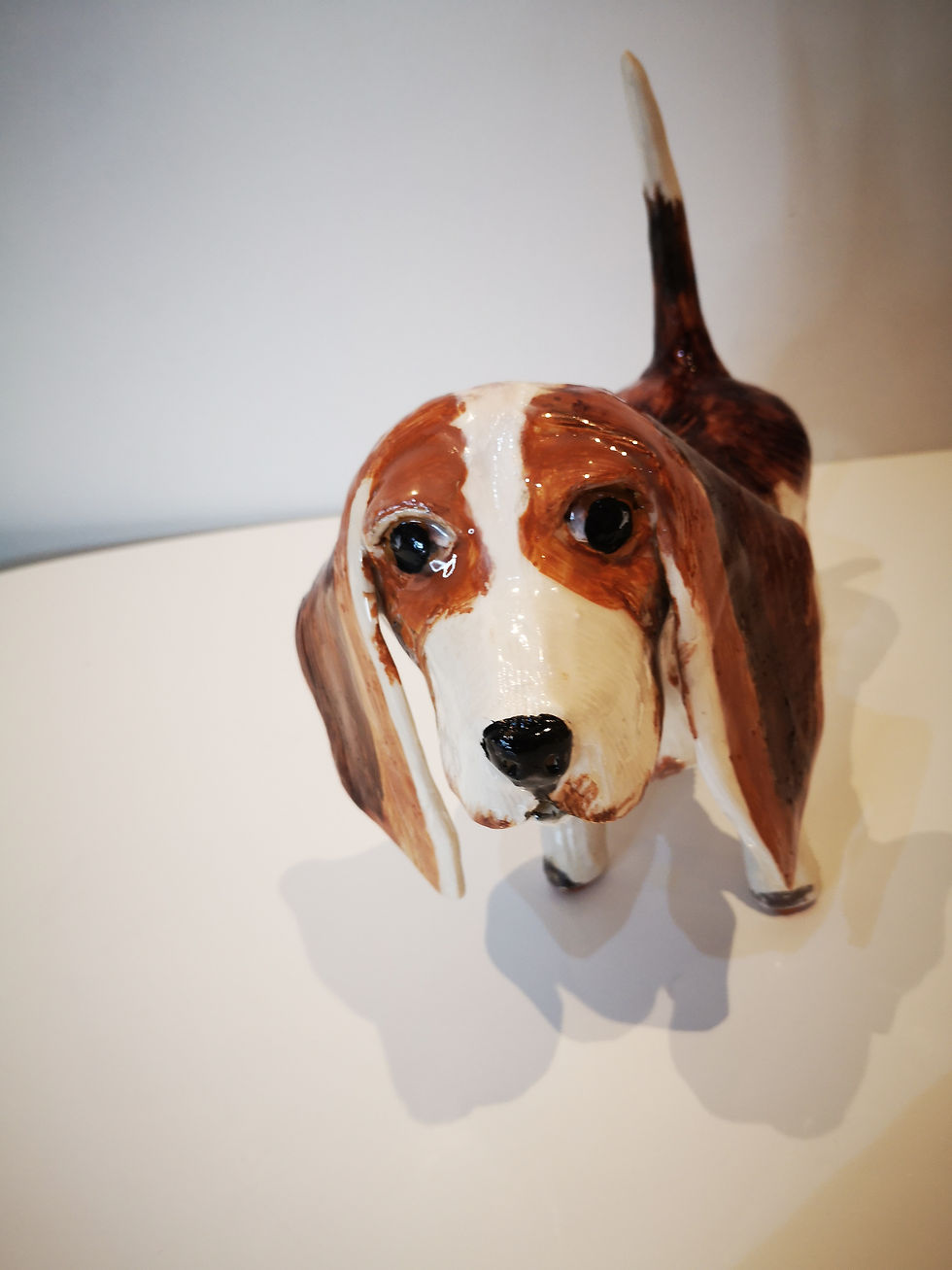 Simi the beagle