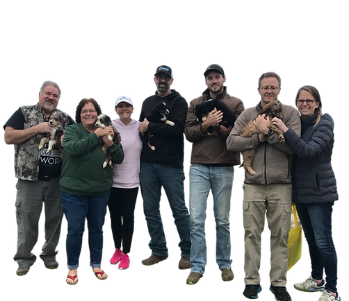 Families with Puppies from Arena Valley Acres