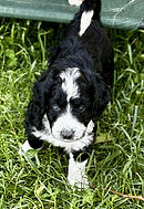 IMG_7850 (1).jpg