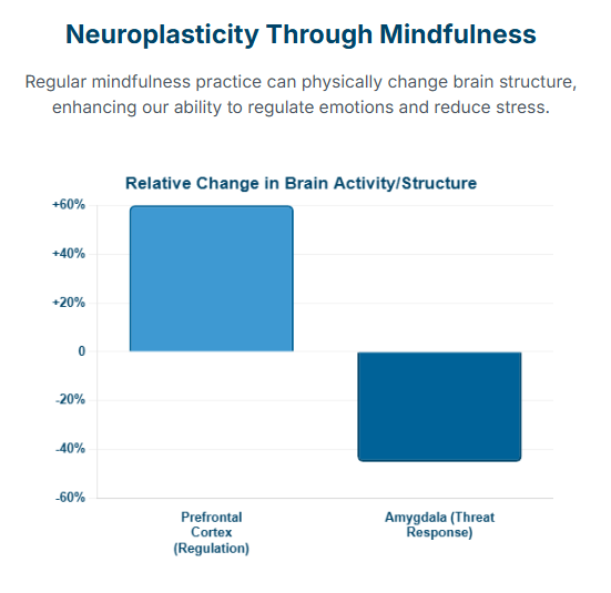 Mindfulness is not just a mental exercise; it's a tool for physically rewiring the brain. This is neuroplasticity in action.
