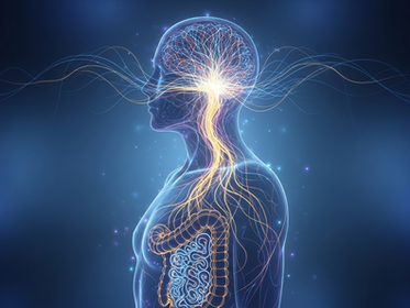 Most of us try to think our way out of stress, but the real secret to lasting change lies in the signals your body sends before your mind even finds the words.